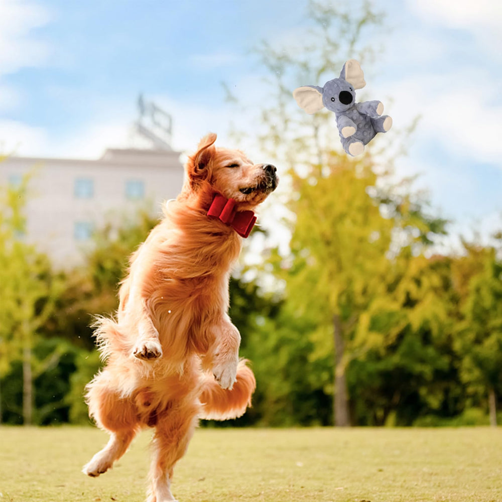 Blnboimrun koala toy with air mesh offers extra durability and breathability.