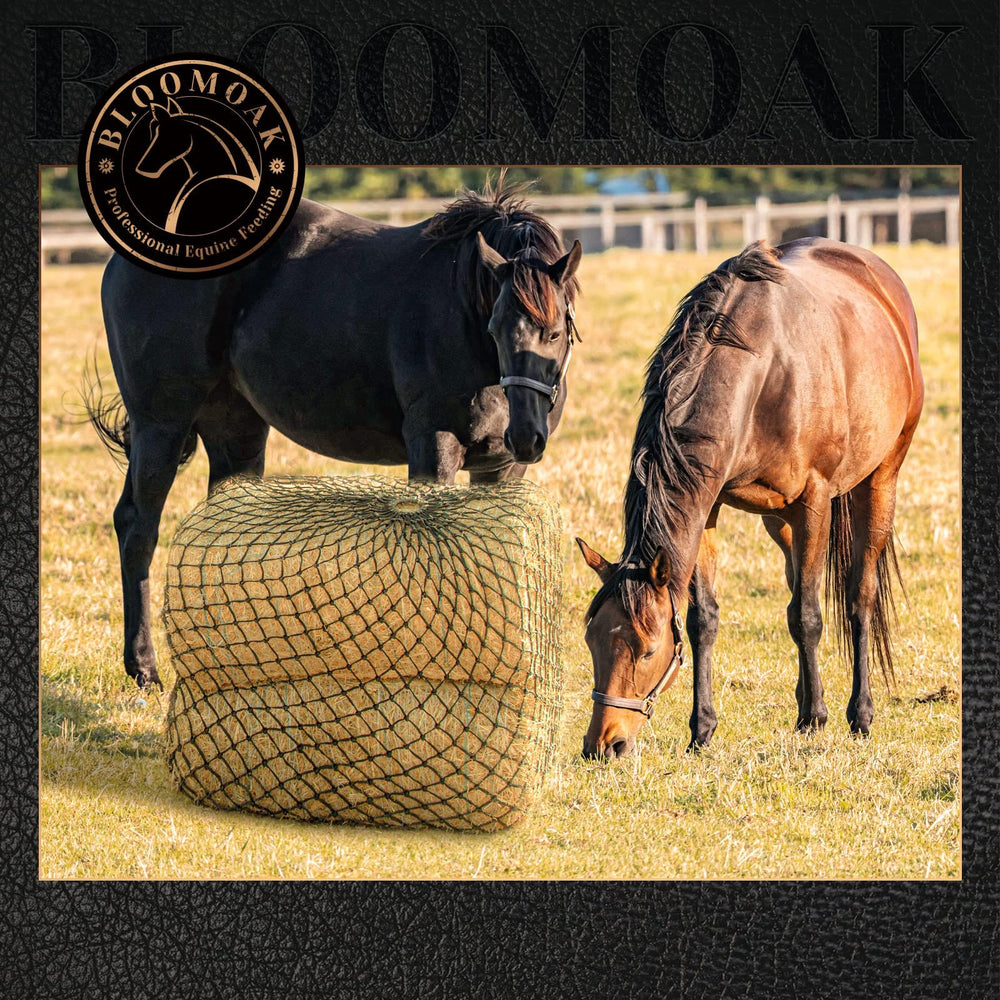 Bloomoak safety guidance emphasizes proper hanging height for safer use.