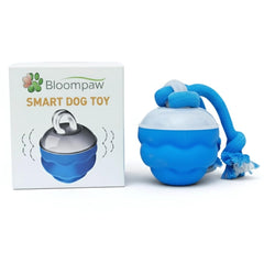 Bloompaw ball with built-in sound attracts dogs during play sessions