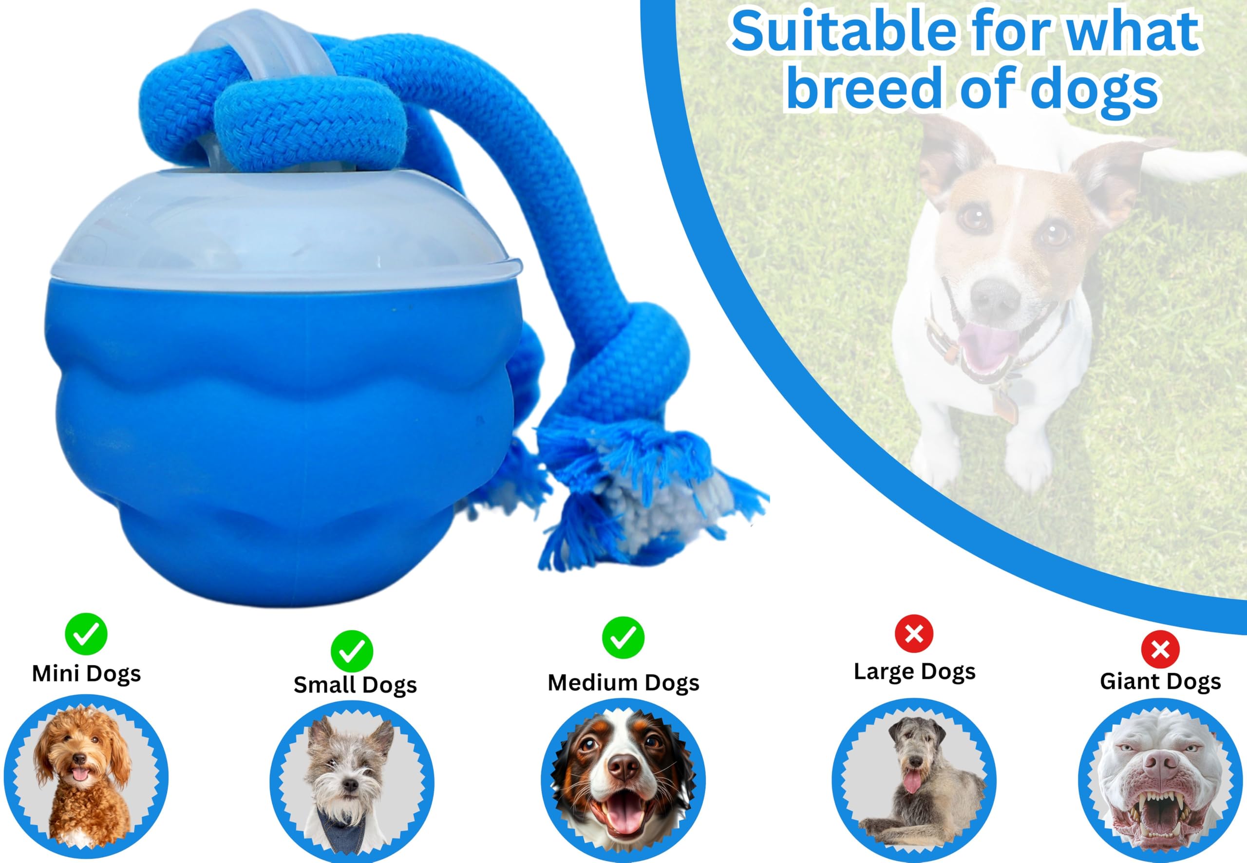 Bloompaw durable PC+TPR construction supports everyday fun