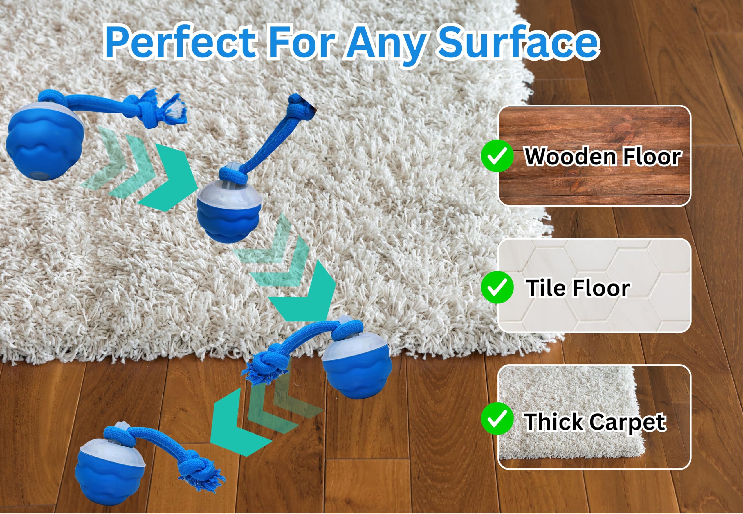 Bloompaw interactive dog ball rolling path demonstrates unpredictable movement for stimulation