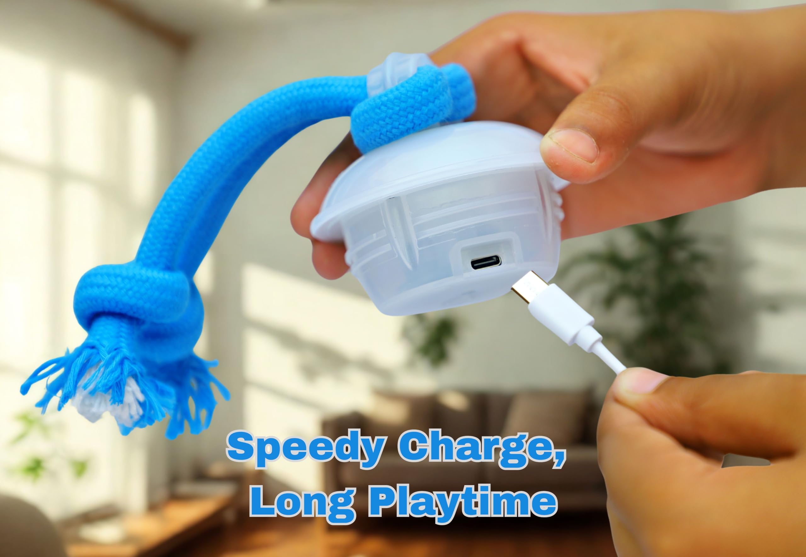 Bloompaw ball rope chew for gentle dental support during interactive play
