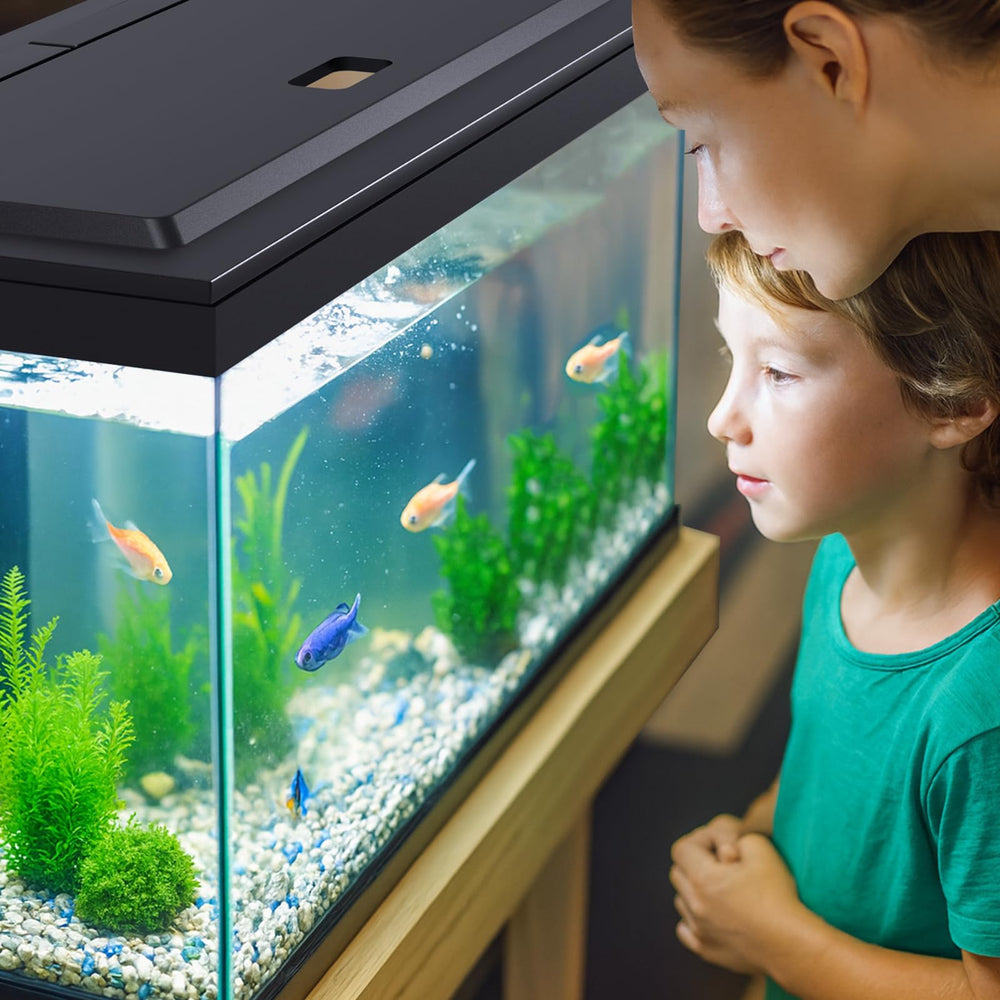 Blosail hood includes connectors and adapters for tidy aquarium setup.