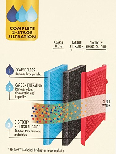 BlossomZ packaging image shows six-pack value and official brand filters
