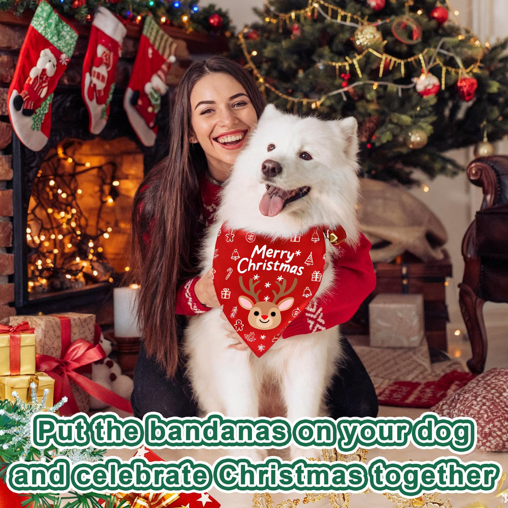 Bluaqua Christmas bandana gift-ready packaging suggesting perfect present for dog owners