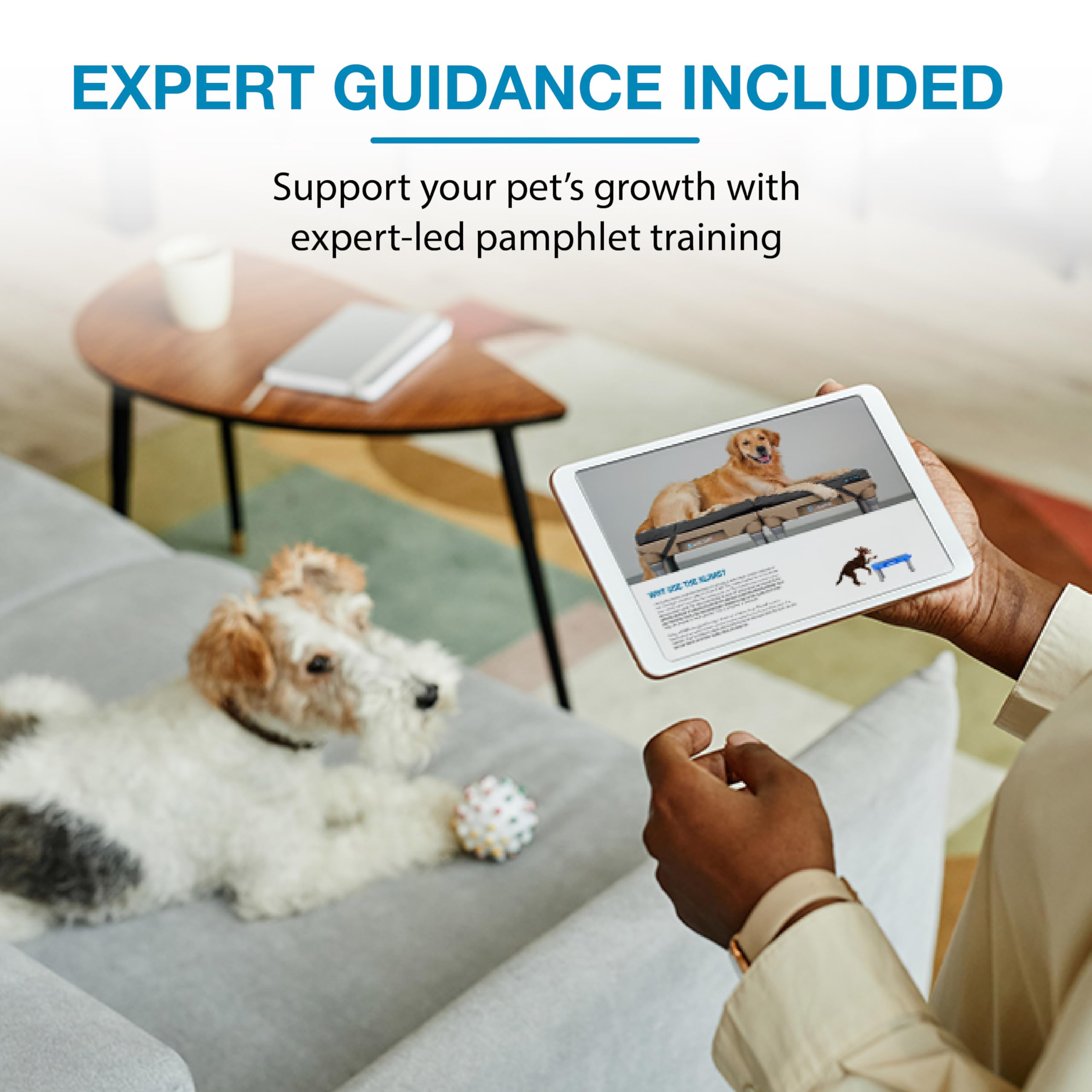 Blue-9 KLIMB Jr. suitable for dogs and cats with behavior basics.