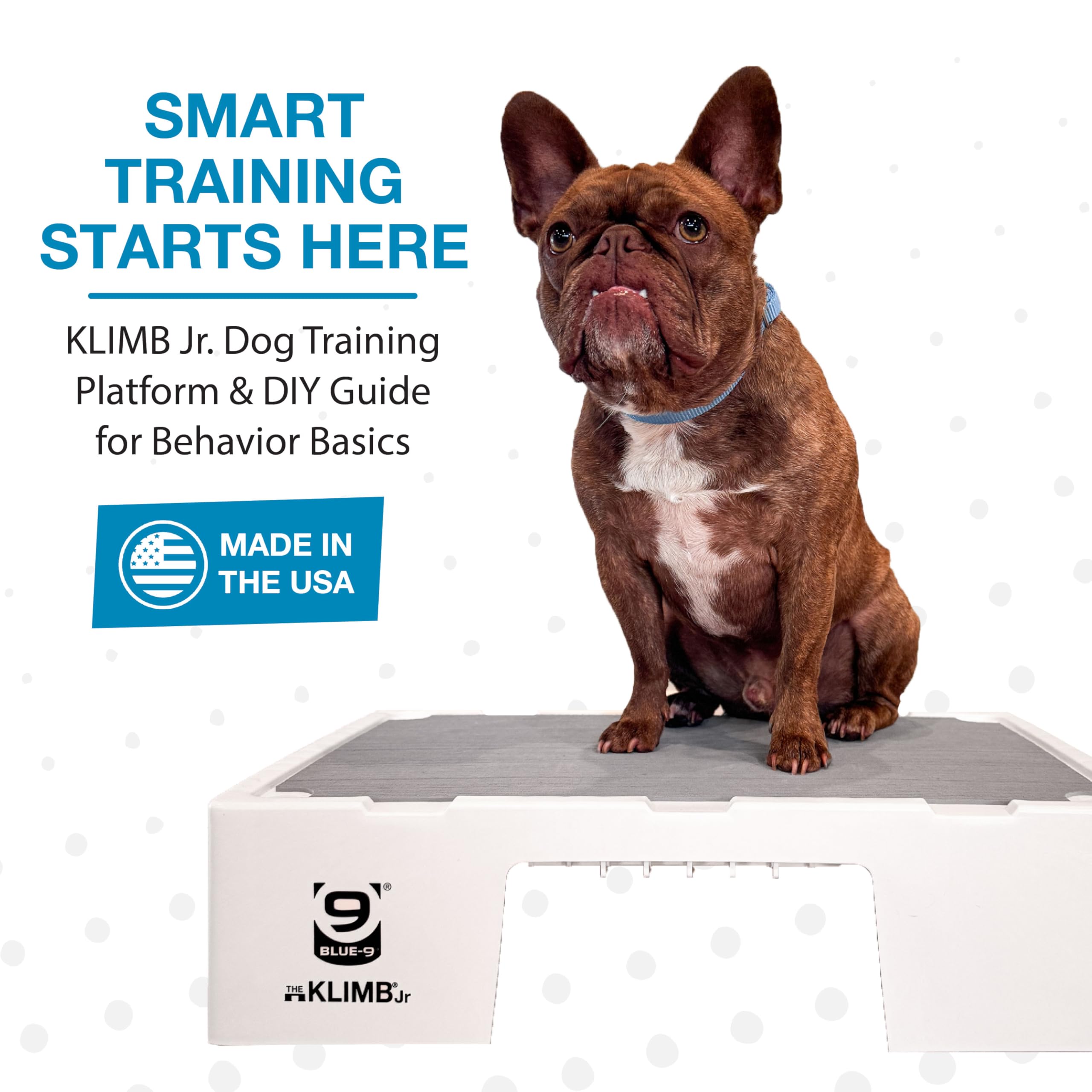 Blue-9 KLIMB Jr. non-slip mat providing paw grip during training sessions.