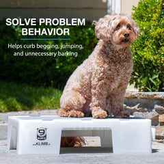 Blue-9 KLIMB Jr. outdoor-ready design withstands weather and active pups.