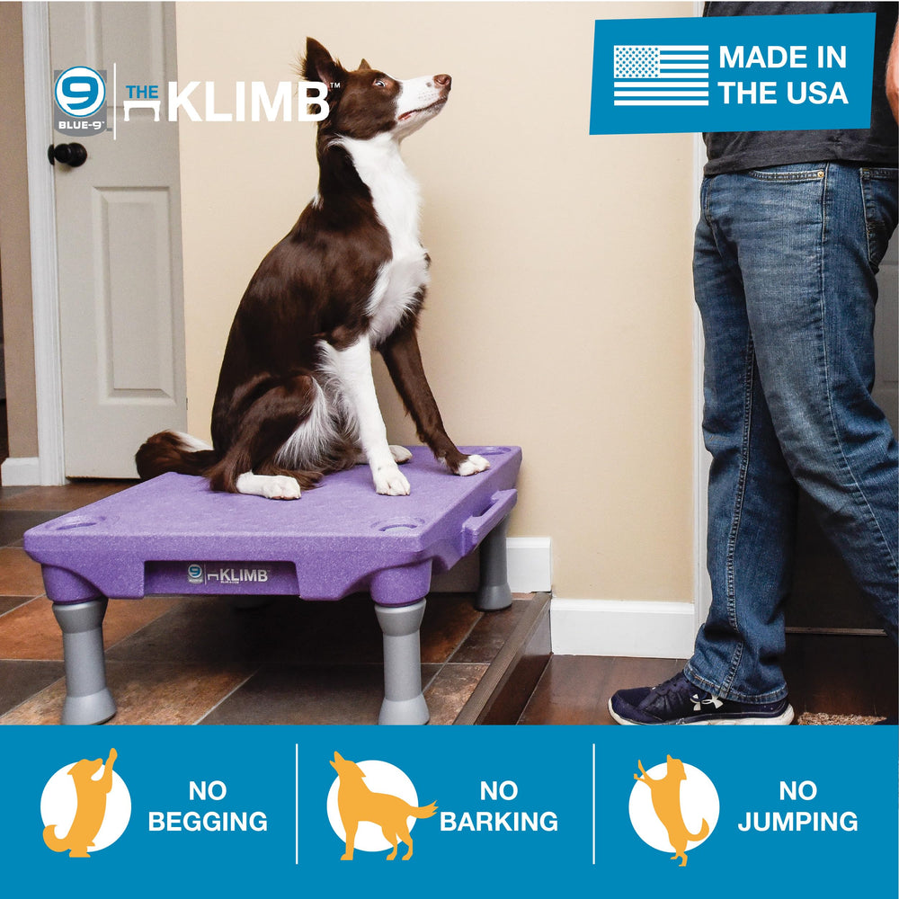 Blue-9 KLIMB pawgrip surface helps secure footing during focused training sessions.