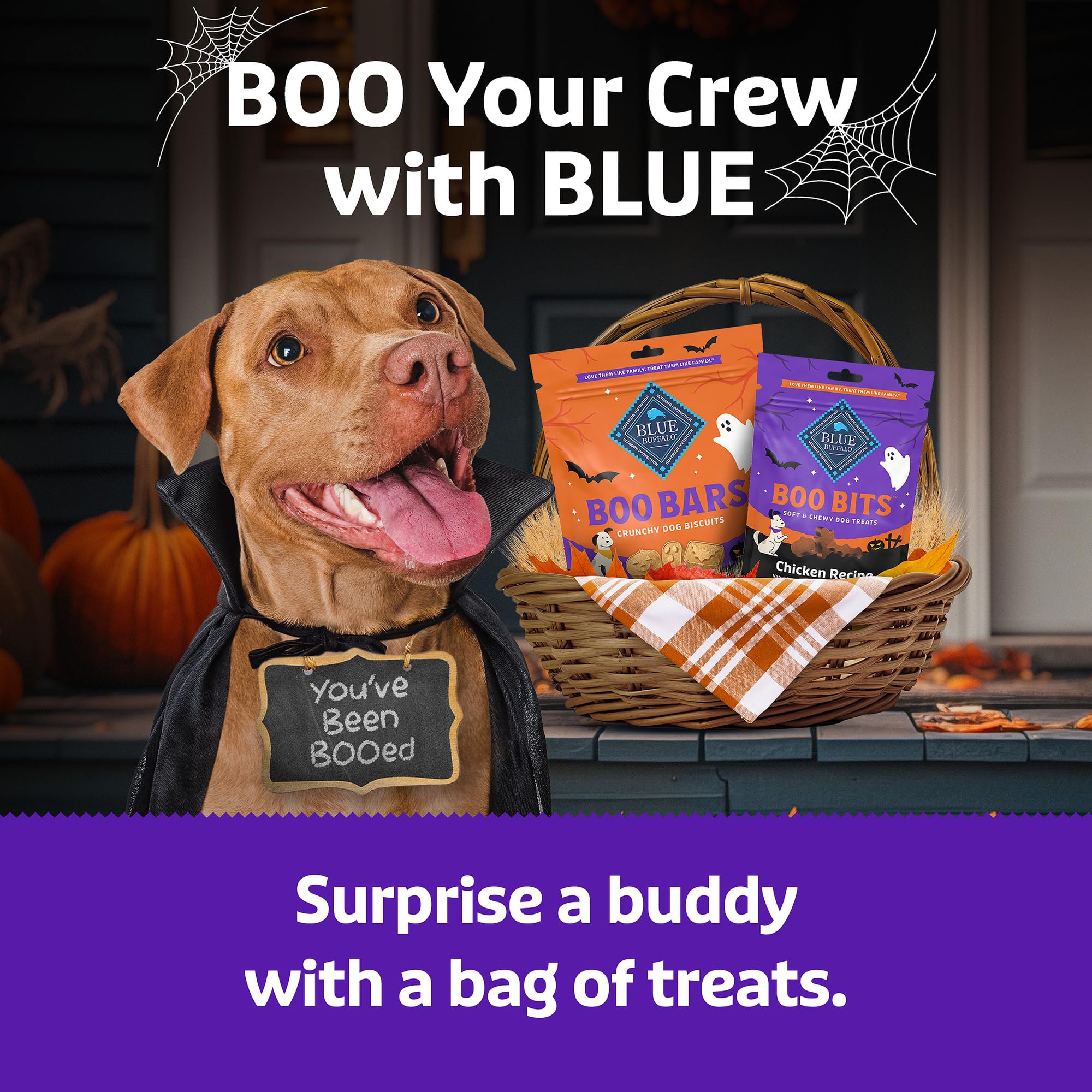 Blue Buffalo Boo Bits note on intermittent feeding shown on package