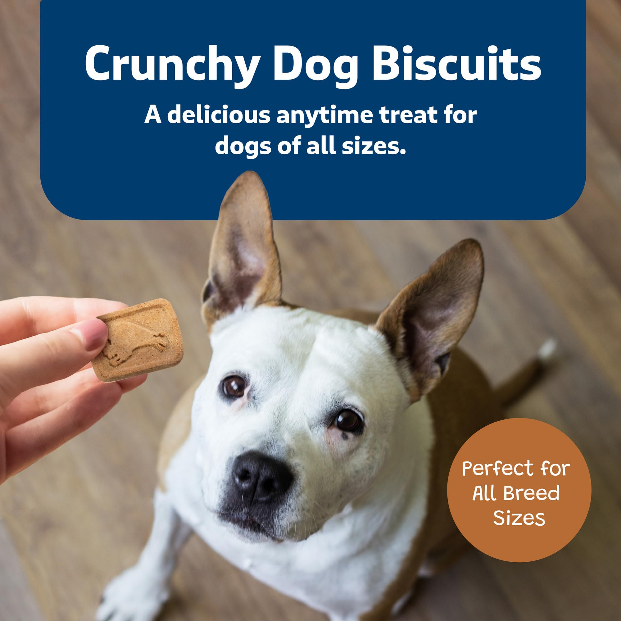 Blue Buffalo Health Bars crunchy texture dogs love during training or rewards
