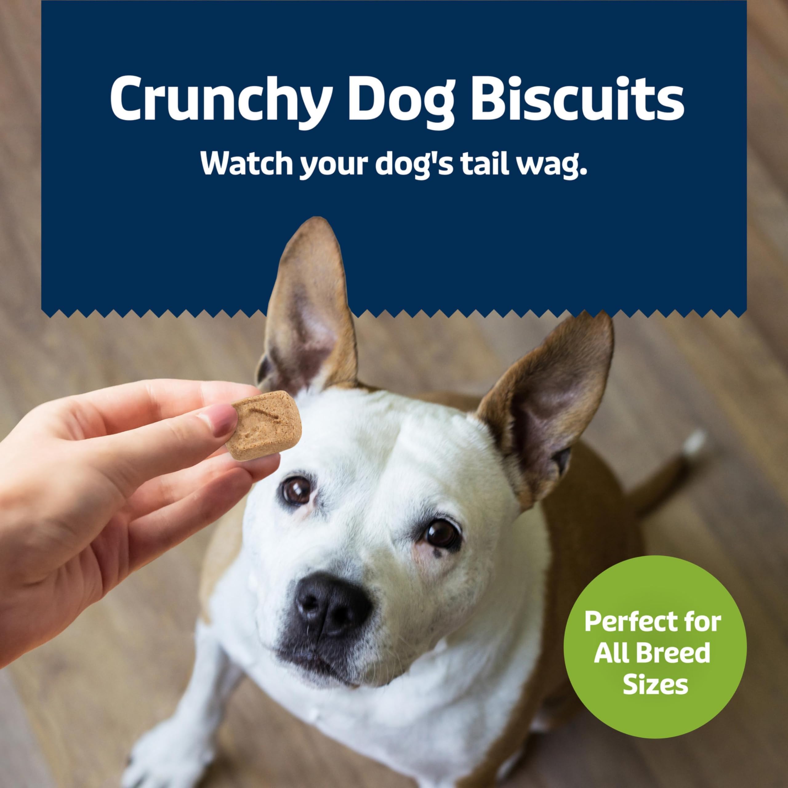 Blue Buffalo Health Bars mini biscuits are free from corn, wheat, and soy.