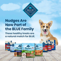 Blue Buffalo Nudges Homestyle texture close-up reveals tender chews.