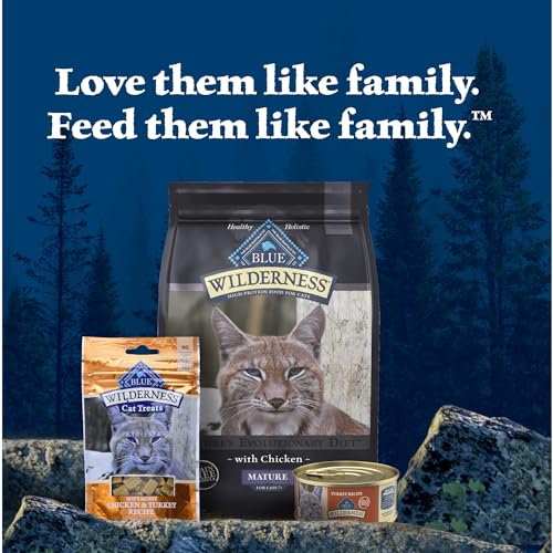Blue Buffalo Wilderness adult-cat-nutrition focus underscores protein-forward energy for daily activity.