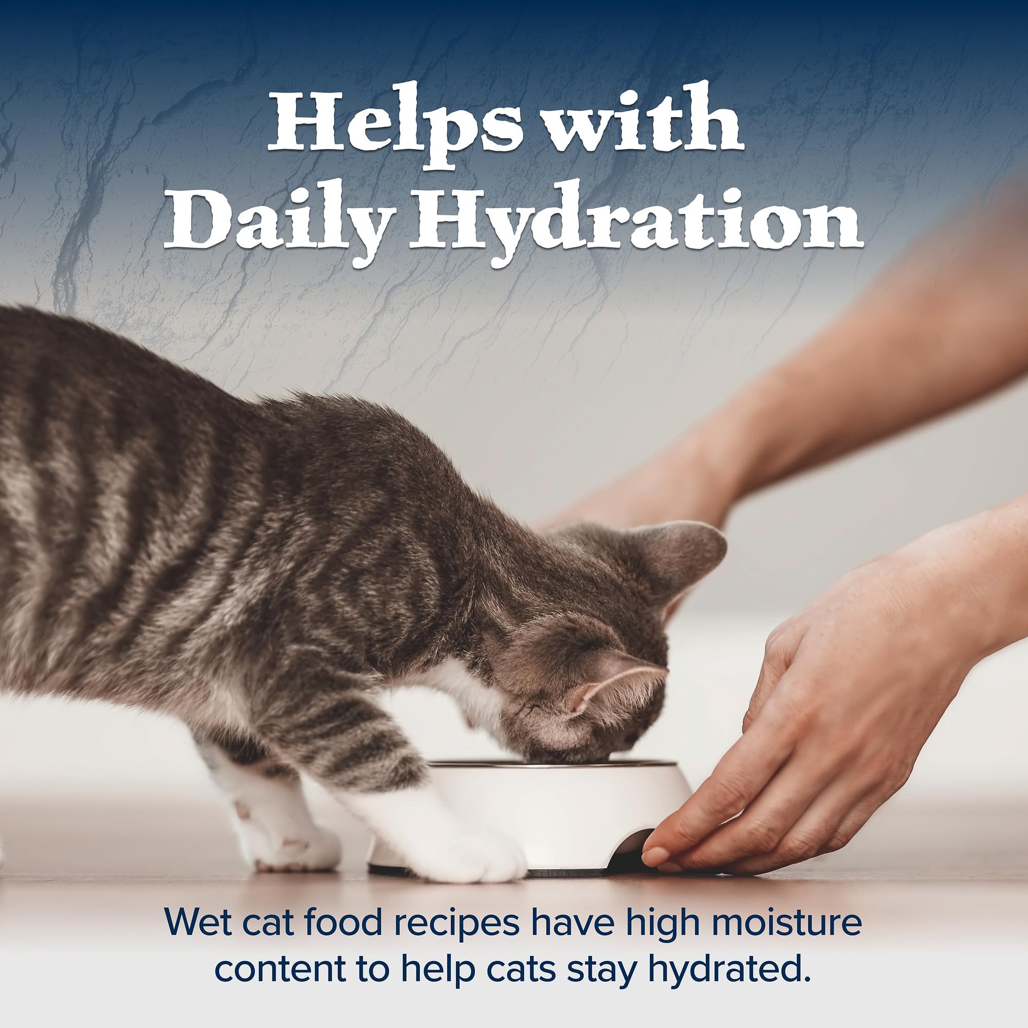 Blue Buffalo Wilderness kitten meal being served in a bowl