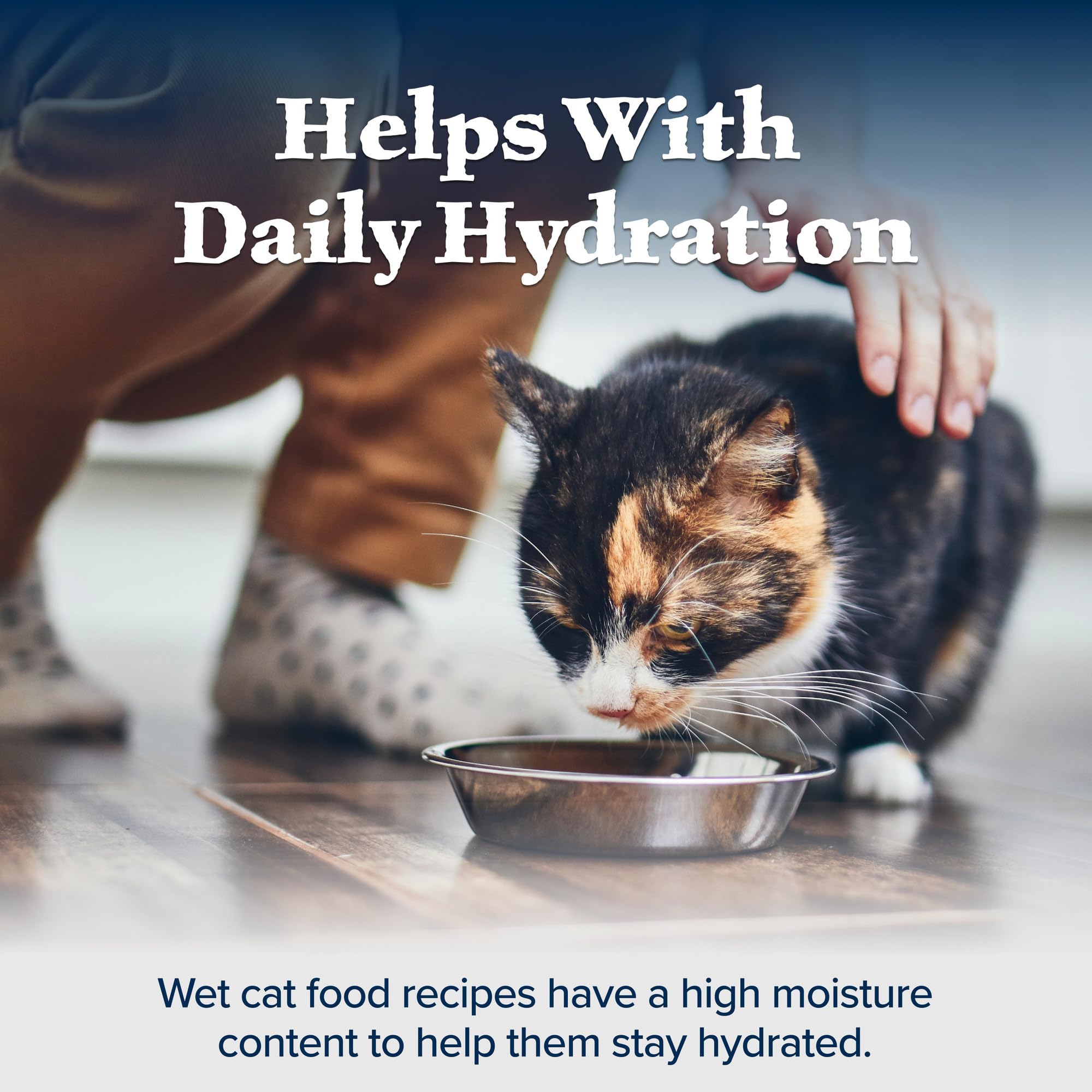 Blue Buffalo Wilderness natural ingredients hero reflects trusted components and balanced nutrition.