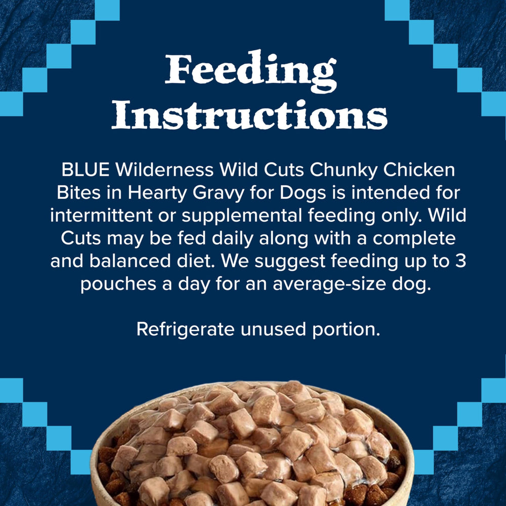 Blue Buffalo Wilderness Trail Toppers gravy closeup showcases rich flavor and aroma