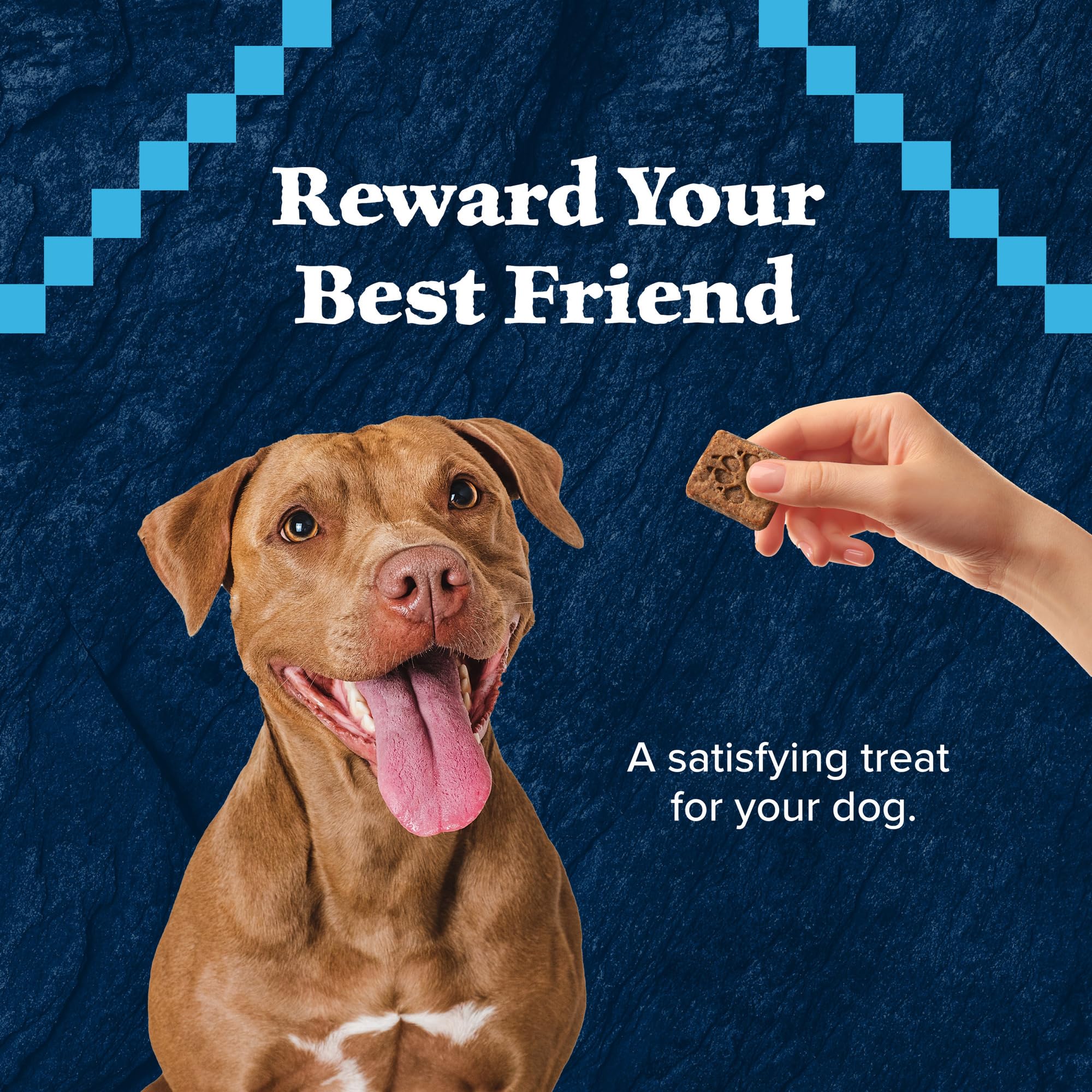 Blue Buffalo Wilderness Trail Treats 24oz bag clearly shown for shared family treats