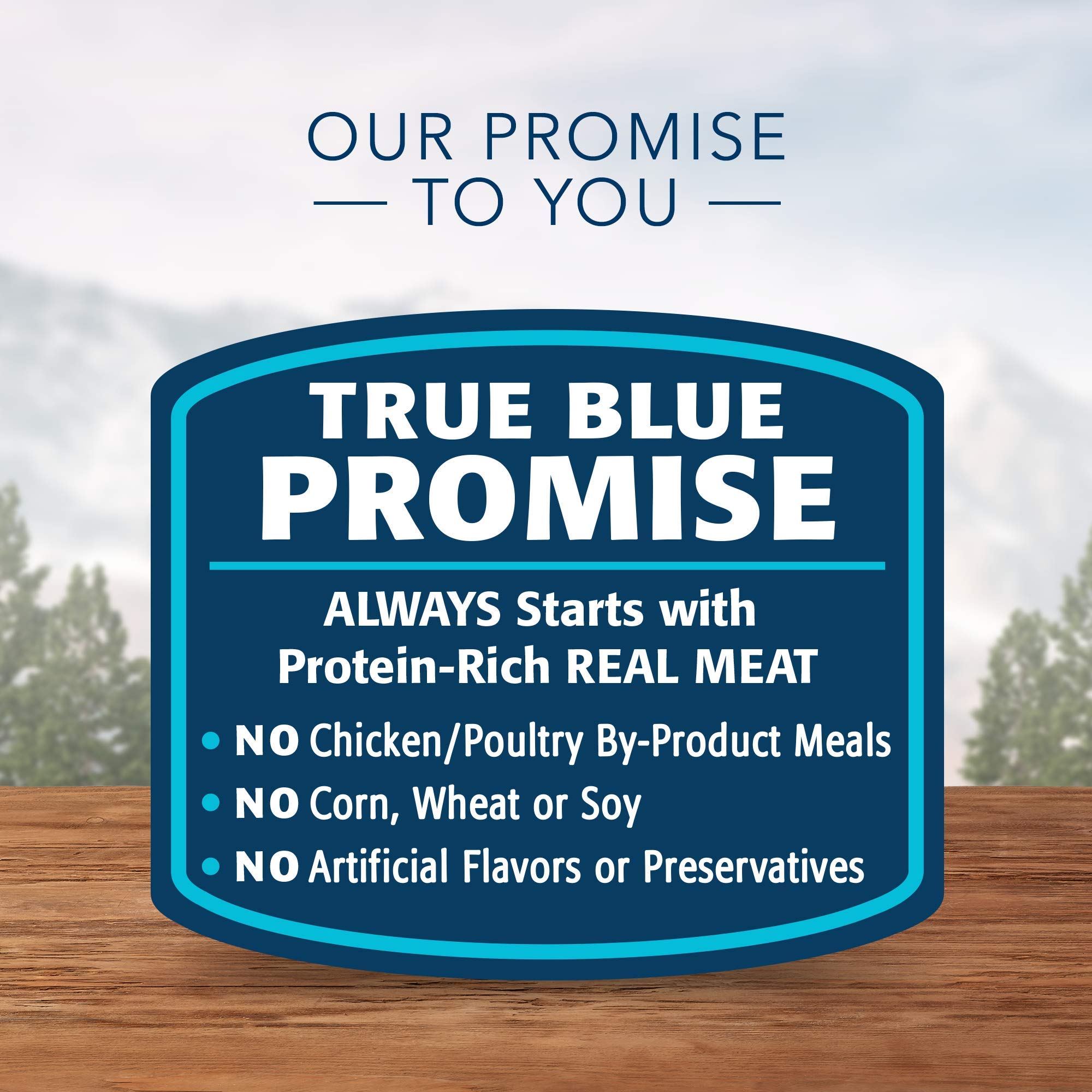 Blue Buffalo Wilderness turkey pate can; grain-free nutrition for sensitive tummies