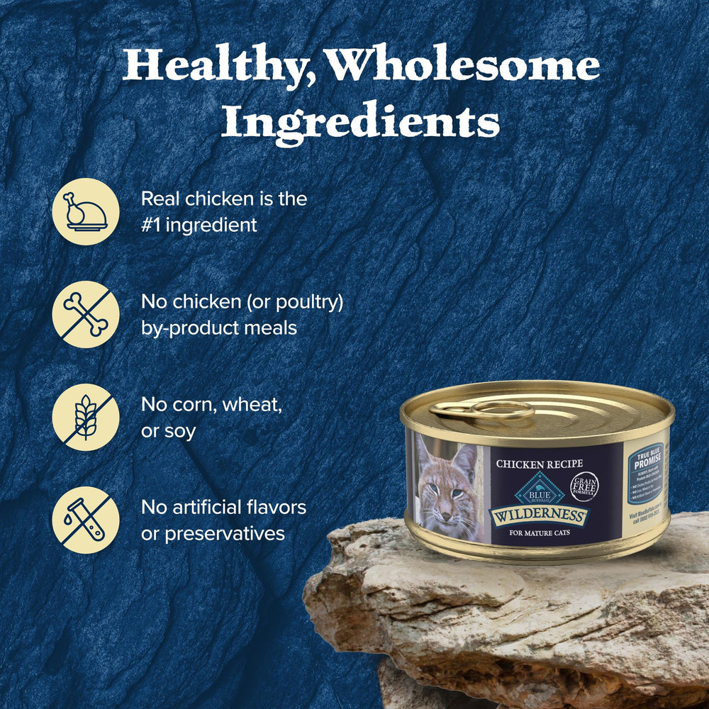 Blue Buffalo Wilderness 24-count pack shows value and consistent supply