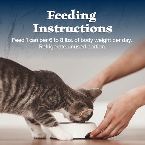 Blue Buffalo Wilderness adult 7+ visual emphasizes suitable formula for senior or older cats