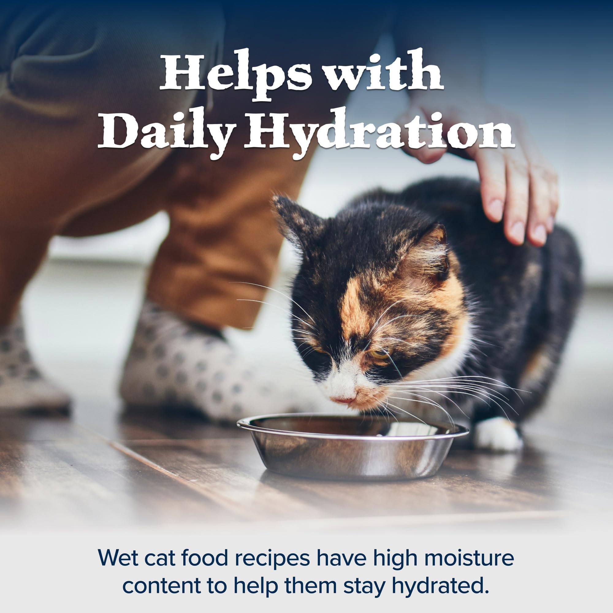 Blue Buffalo Wilderness high-moisture pour captures rich gravy and hydration potential