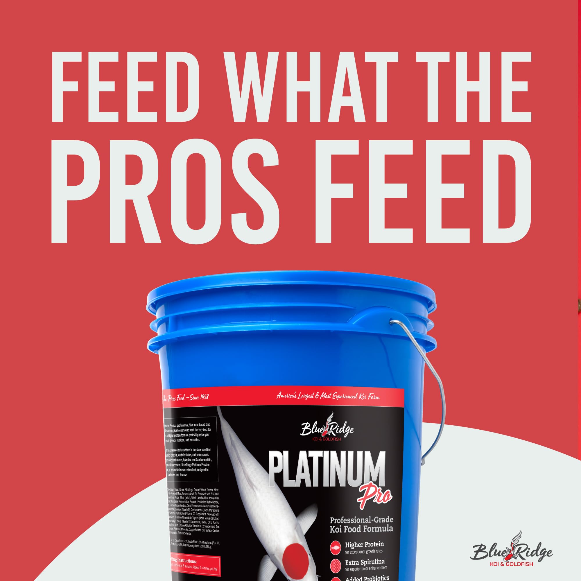 Blue Ridge Platinum Pro Formula pellets floating for easy digestion and feeding
