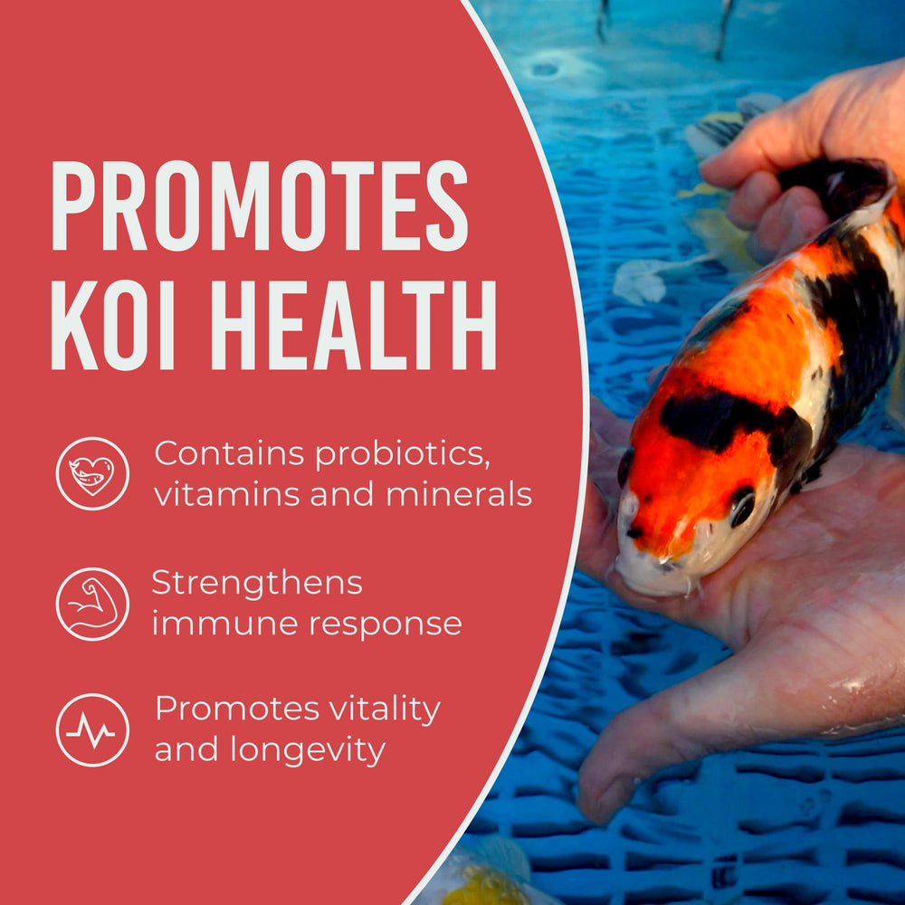 Blue Ridge Primilac probiotic immune stimulant for koi health