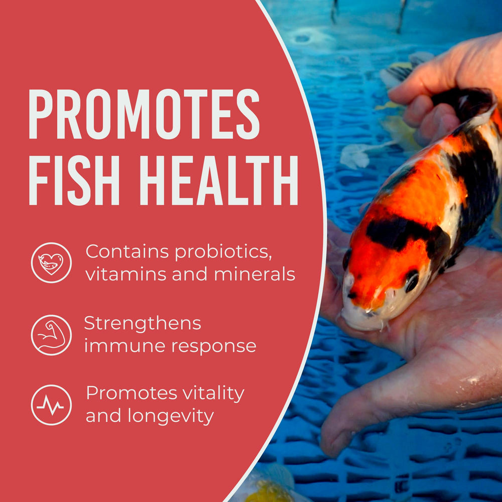 Blue Ridge Koi Fish Food serving bowl ready for quick pond feeding.
