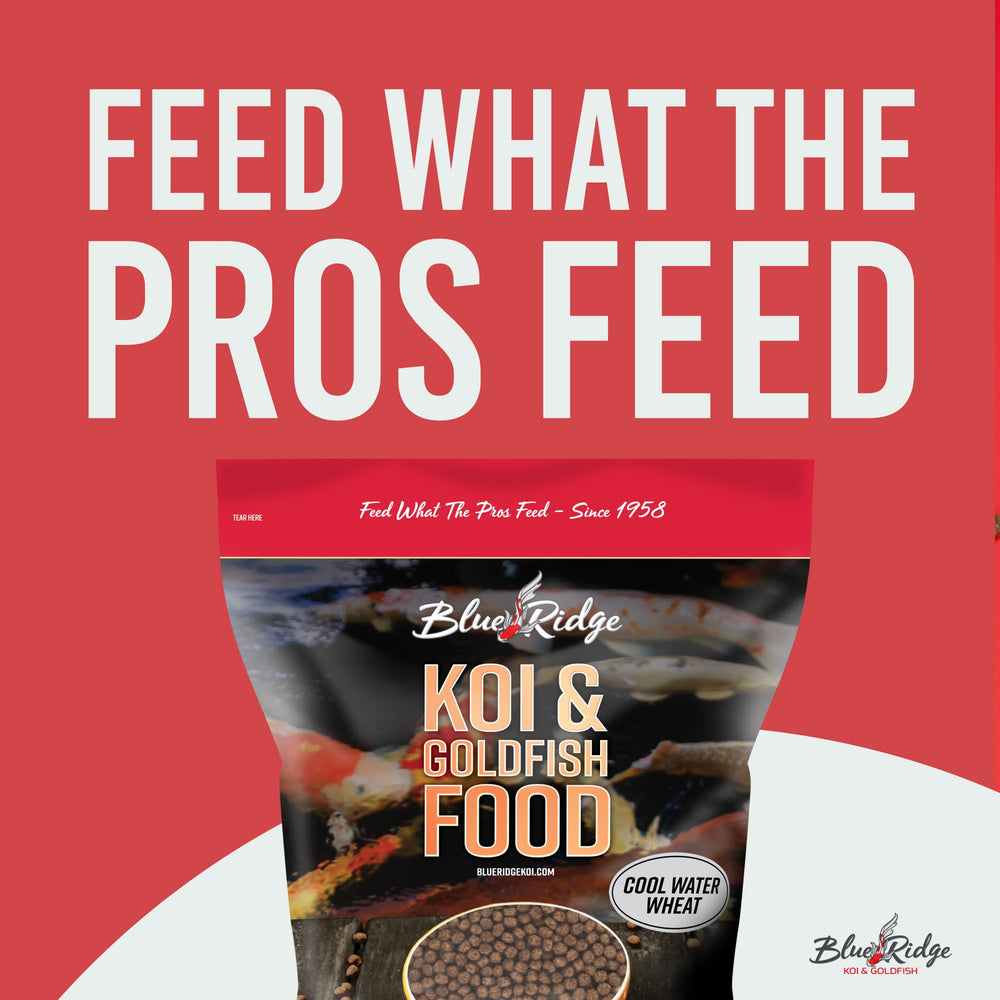Blue Ridge Koi Food 5lb cool-season formulation supports koi in spring and fall
