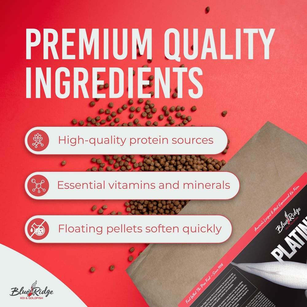 Blue Ridge Koi Food color-boost pellets enhance koi color vibrancy.