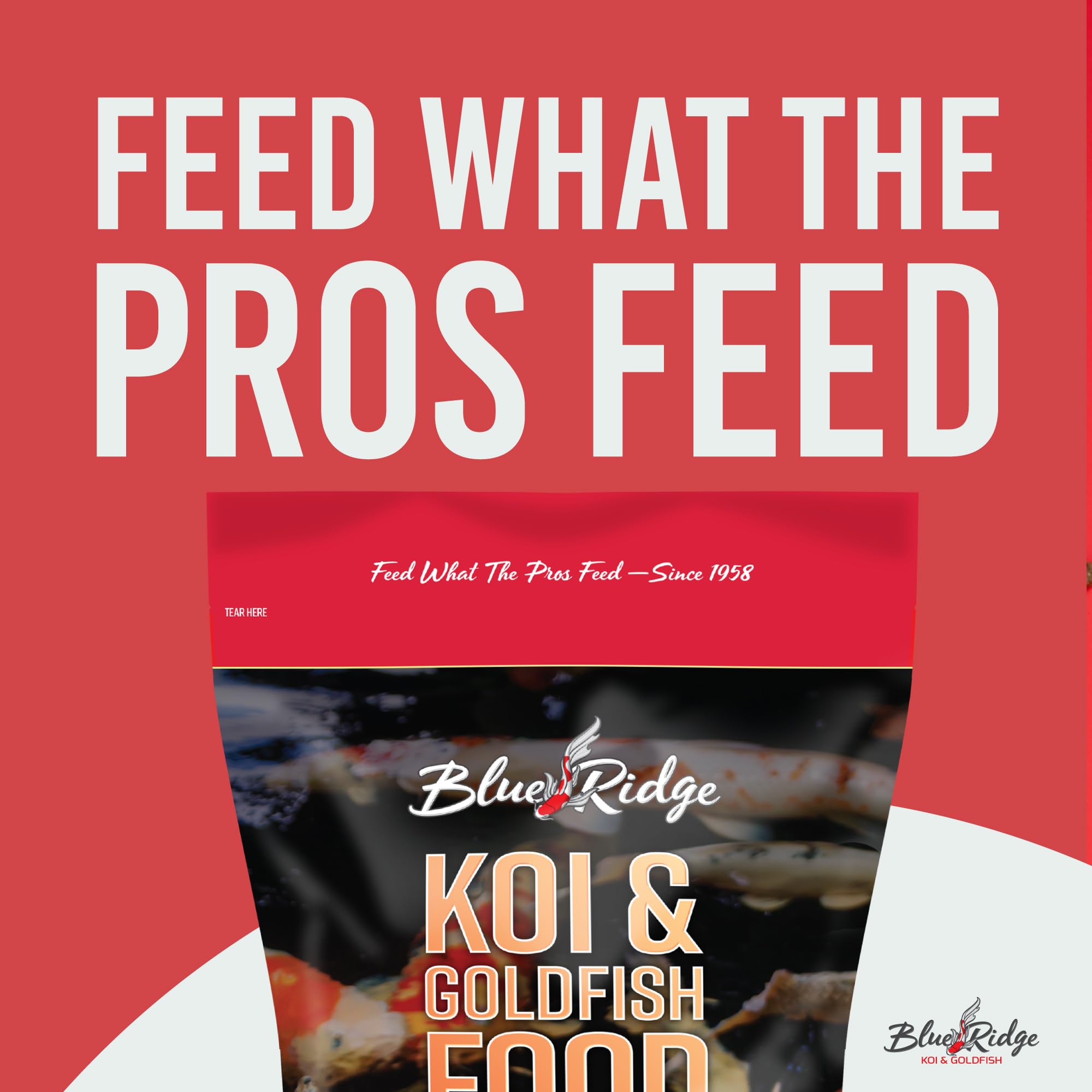 Blue Ridge Koi Food floating pellets enable mess-free, surface feeding for koi.
