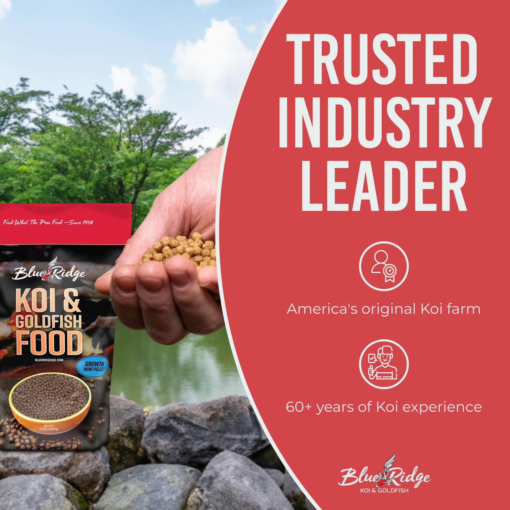 Blue Ridge Koi Food goldfish-friendly diet for balanced pond nutrition.