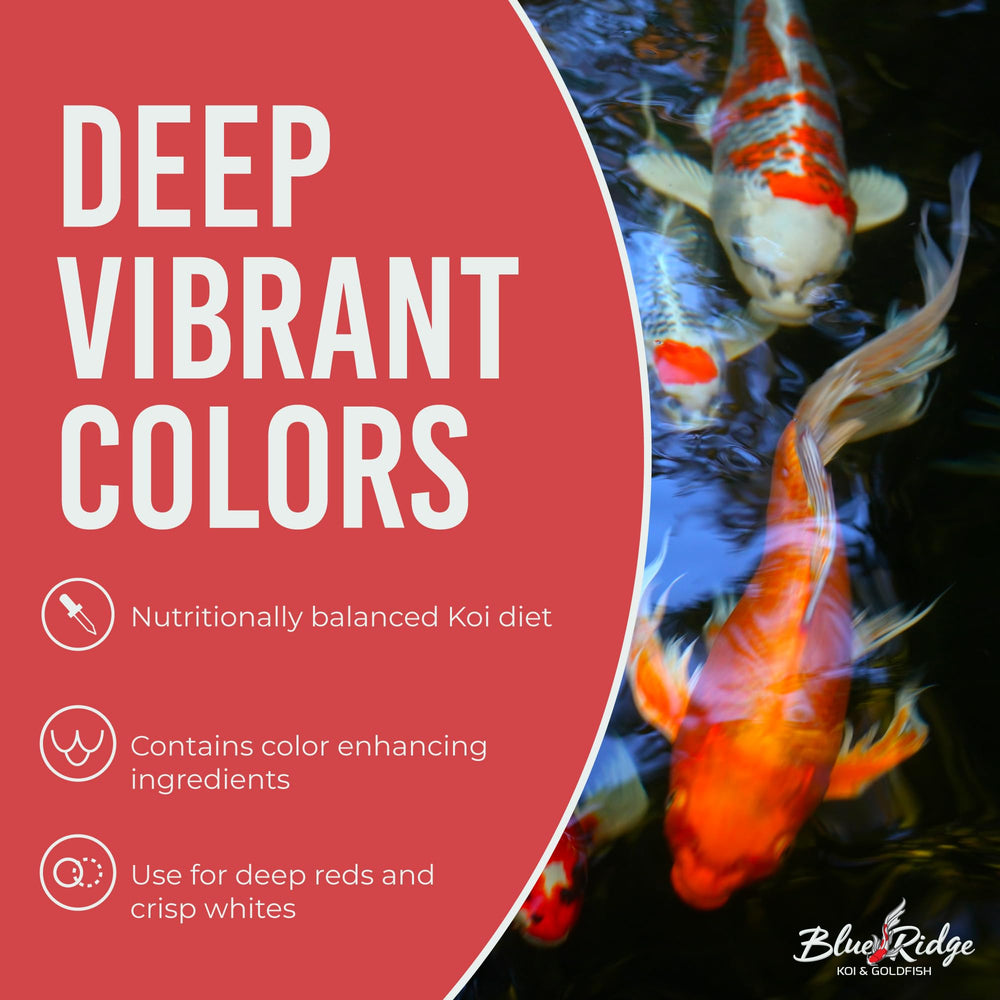 Blue Ridge Koi Food spirulina-canthaxanthin for color enhancement.