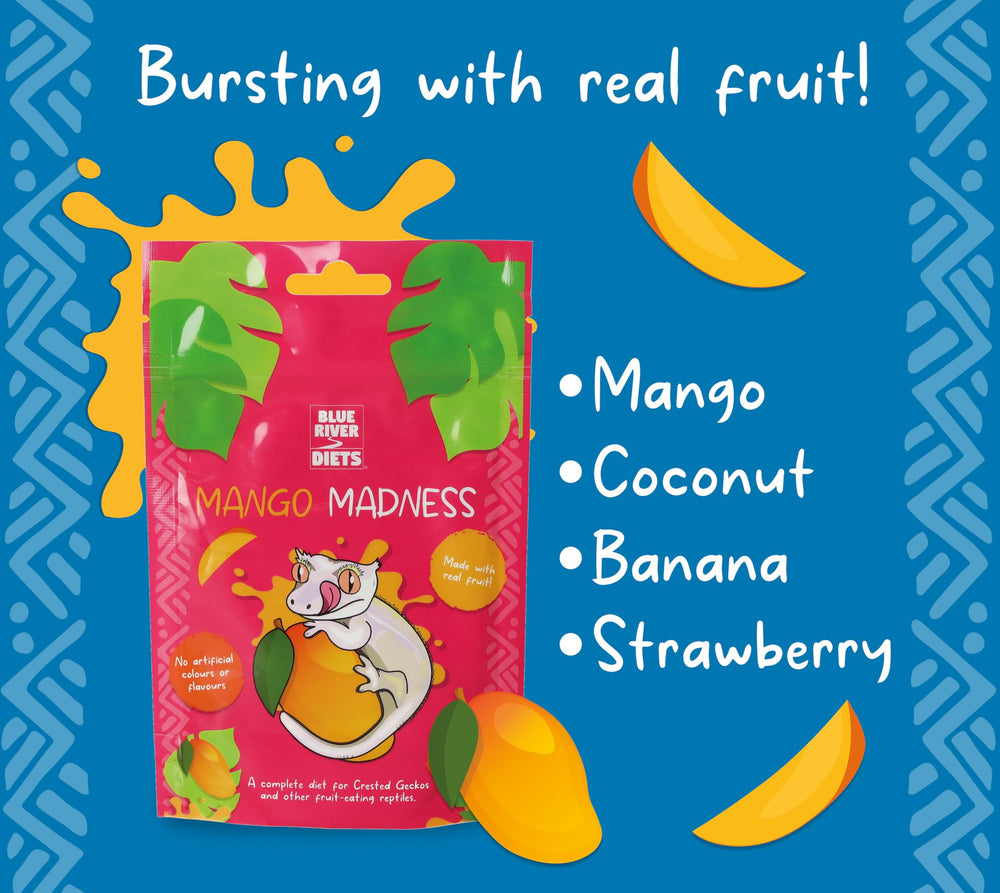 Blue River Diets Crested Gecko Diet Mango Madness texture closeup showcases powder consistency for palatability.