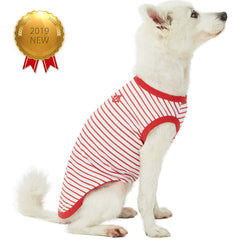 Blueberry Pet back-length 16-inch fit guide image for proper sizing