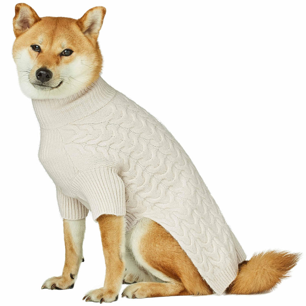 Blueberry Pet Classic Fuzzy Knit Sweater model wearing demonstrates everyday warmth for small dogs.