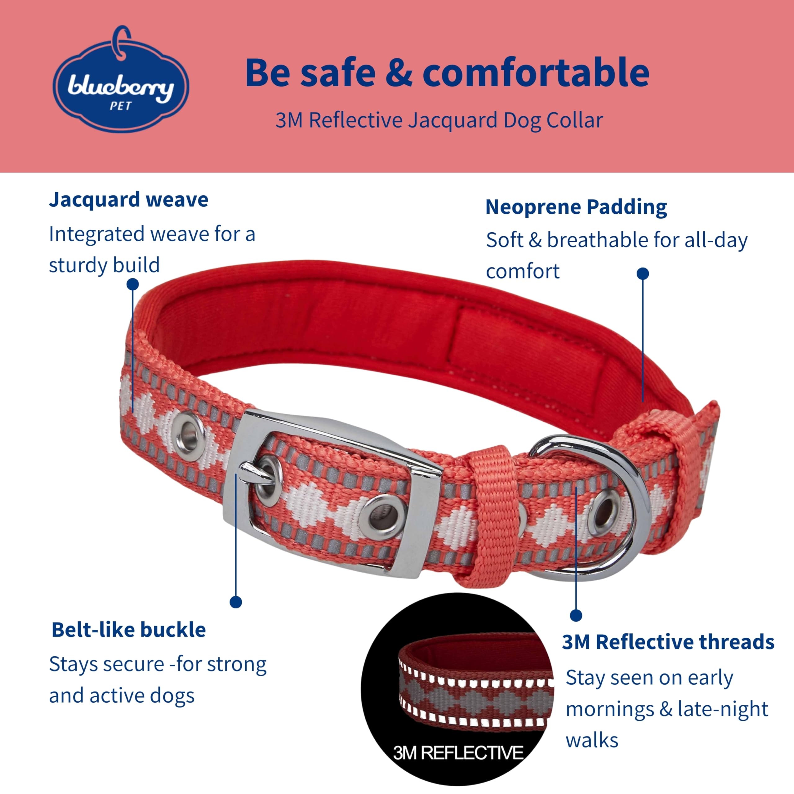 Blueberry Pet neoprene-padded collar close-up shows comfort padding for all-day wear