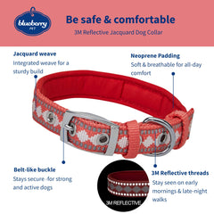 Blueberry Pet neoprene-padded collar close-up shows comfort padding for all-day wear