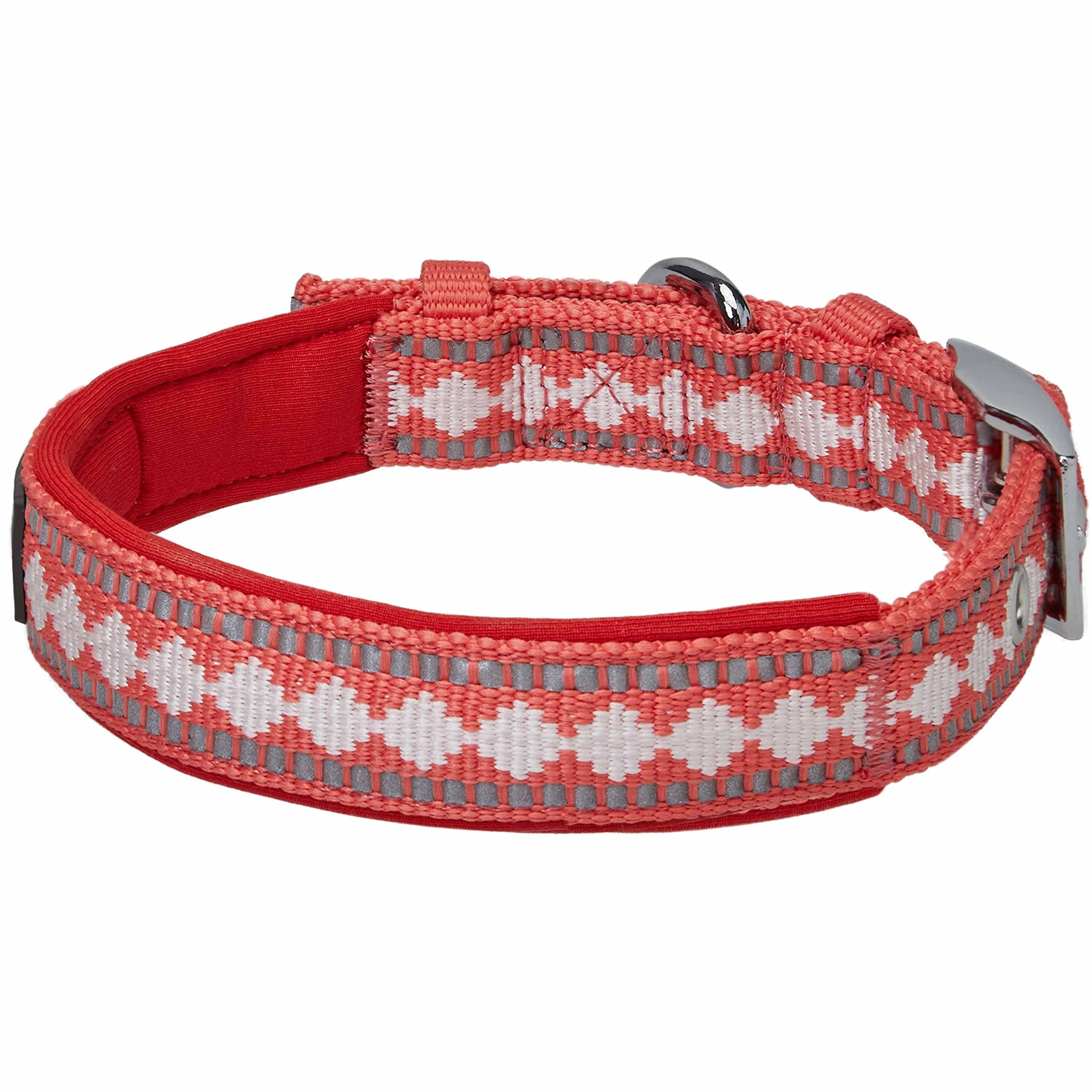 Blueberry Pet coral collar on dog during a casual daily walk