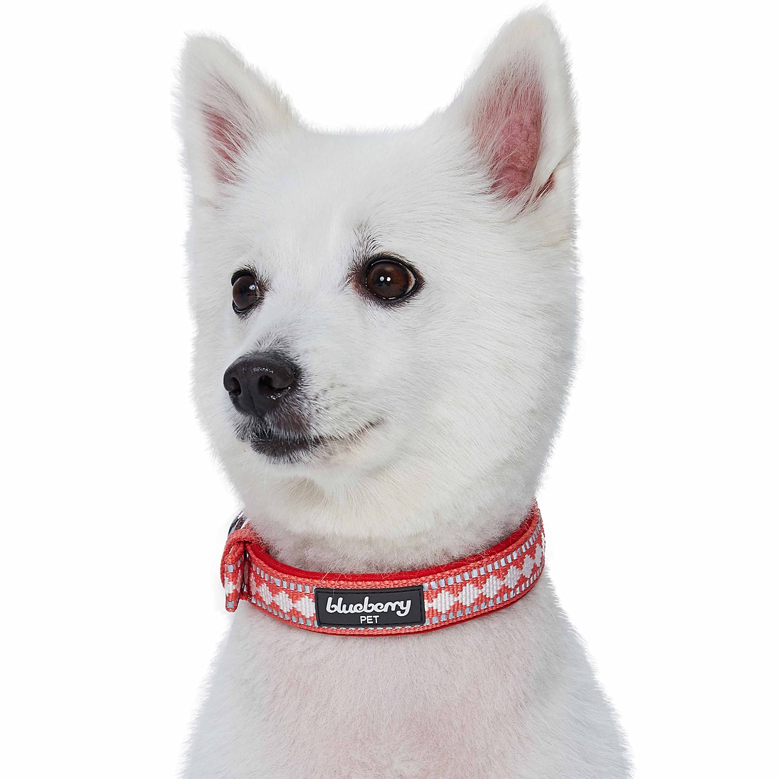 Blueberry Pet coral collar size chart to help choose the right fit
