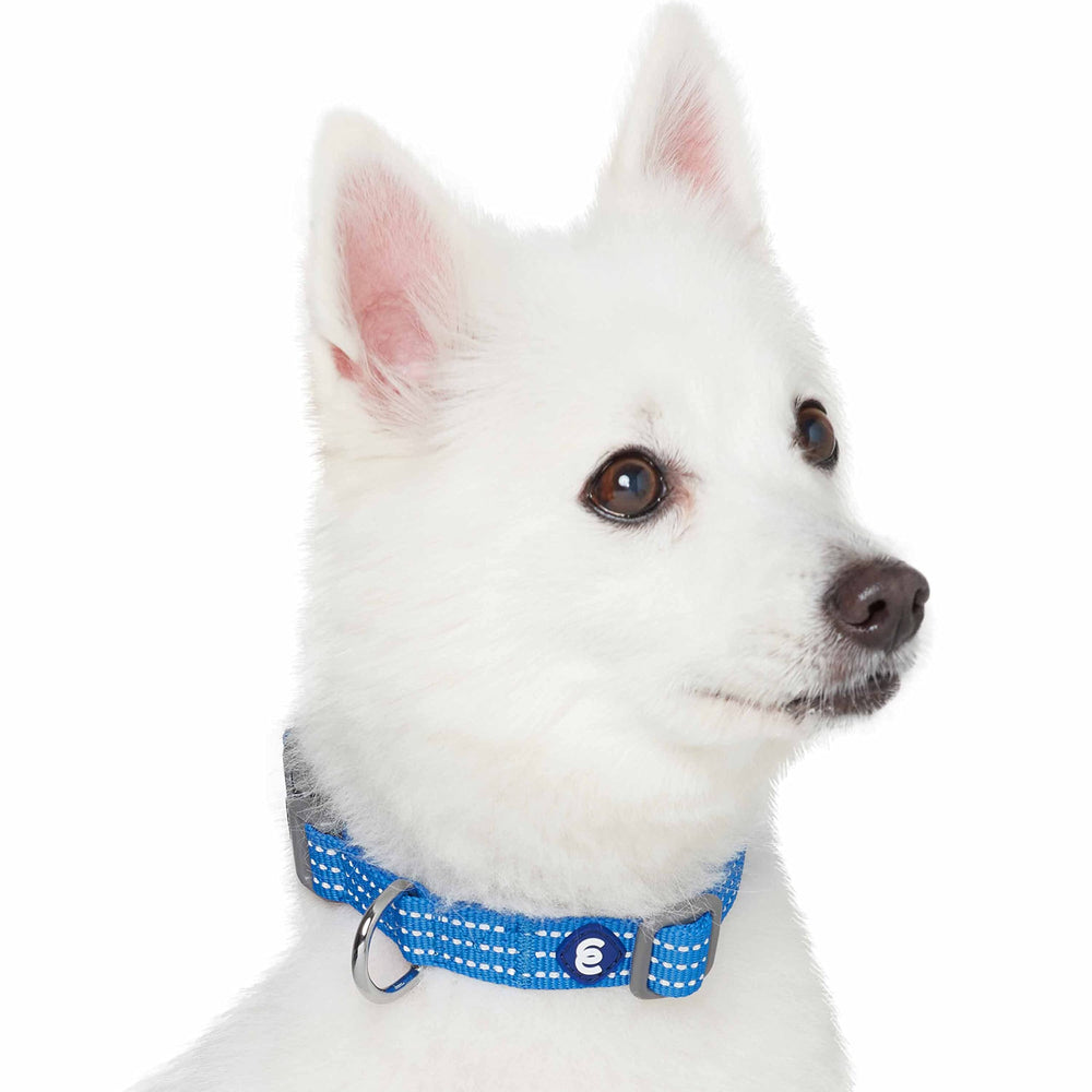 Blueberry Pet Essential Medium Safety Reflective Collar adjustable strap enables easy fit.