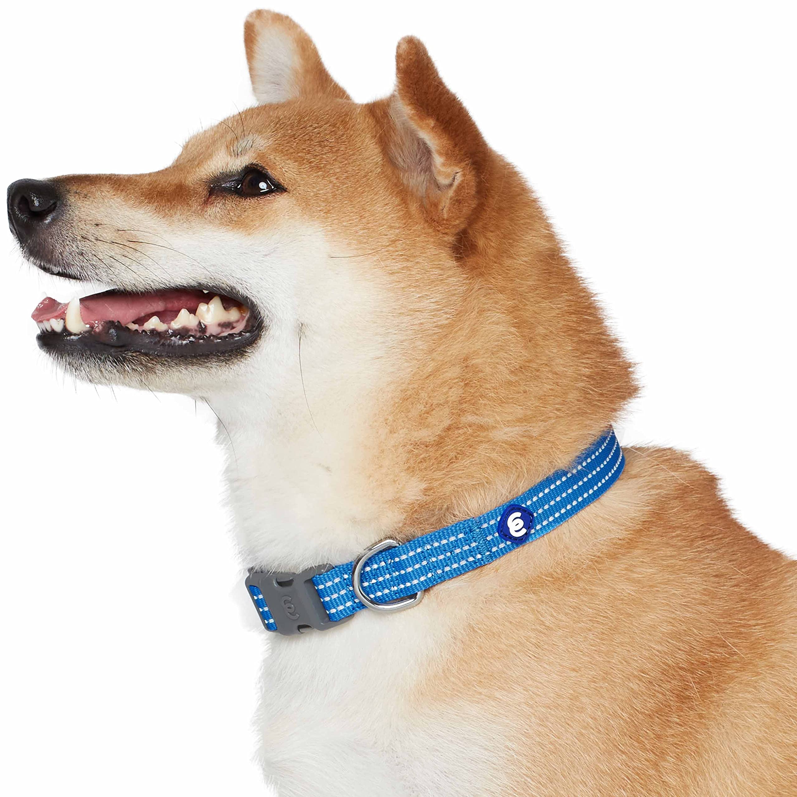 Blueberry Pet Essential Medium Safety Reflective Collar chromed steel D-ring on leash loop.