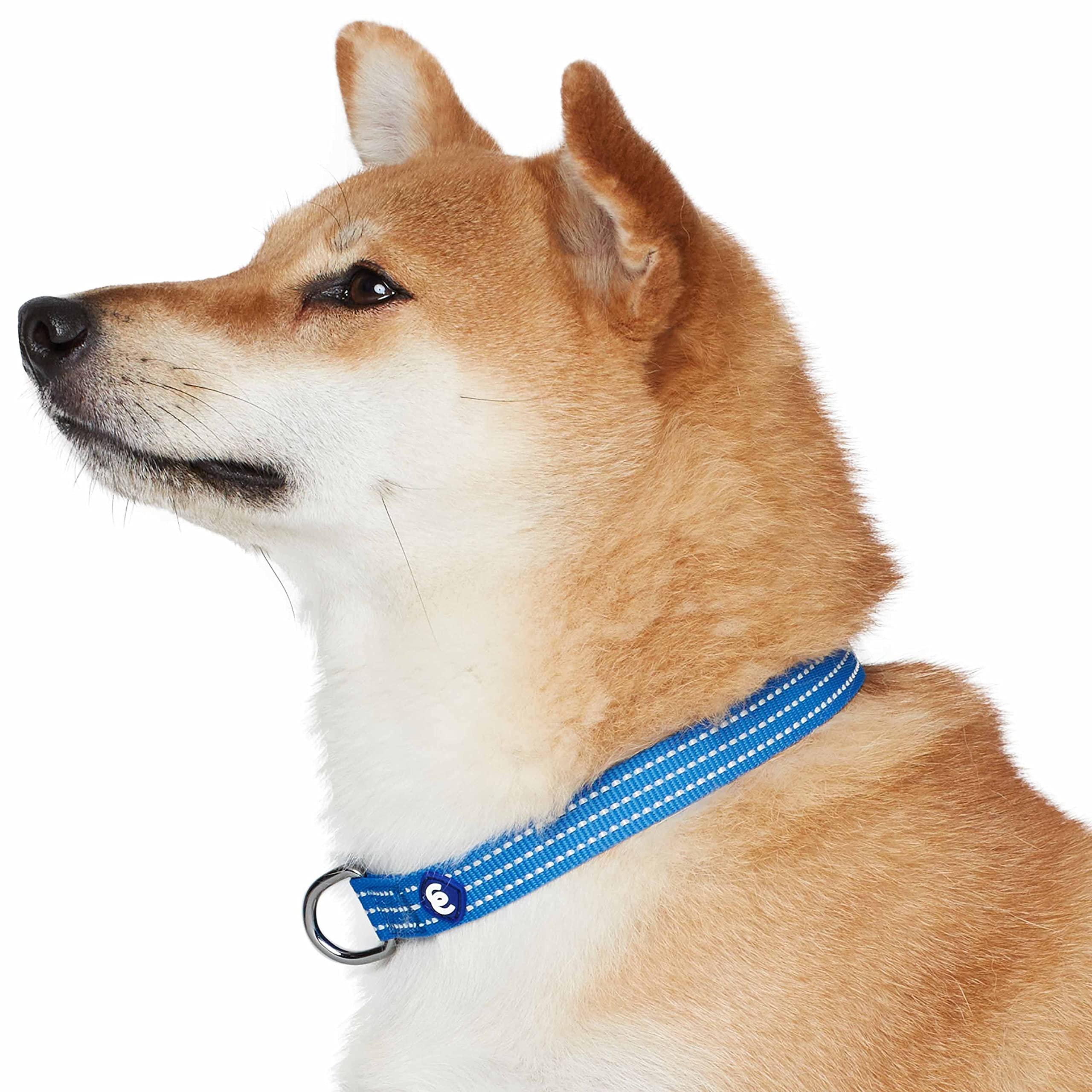 Blueberry Pet Essential Medium Safety Reflective Collar size guide helps proper fit.