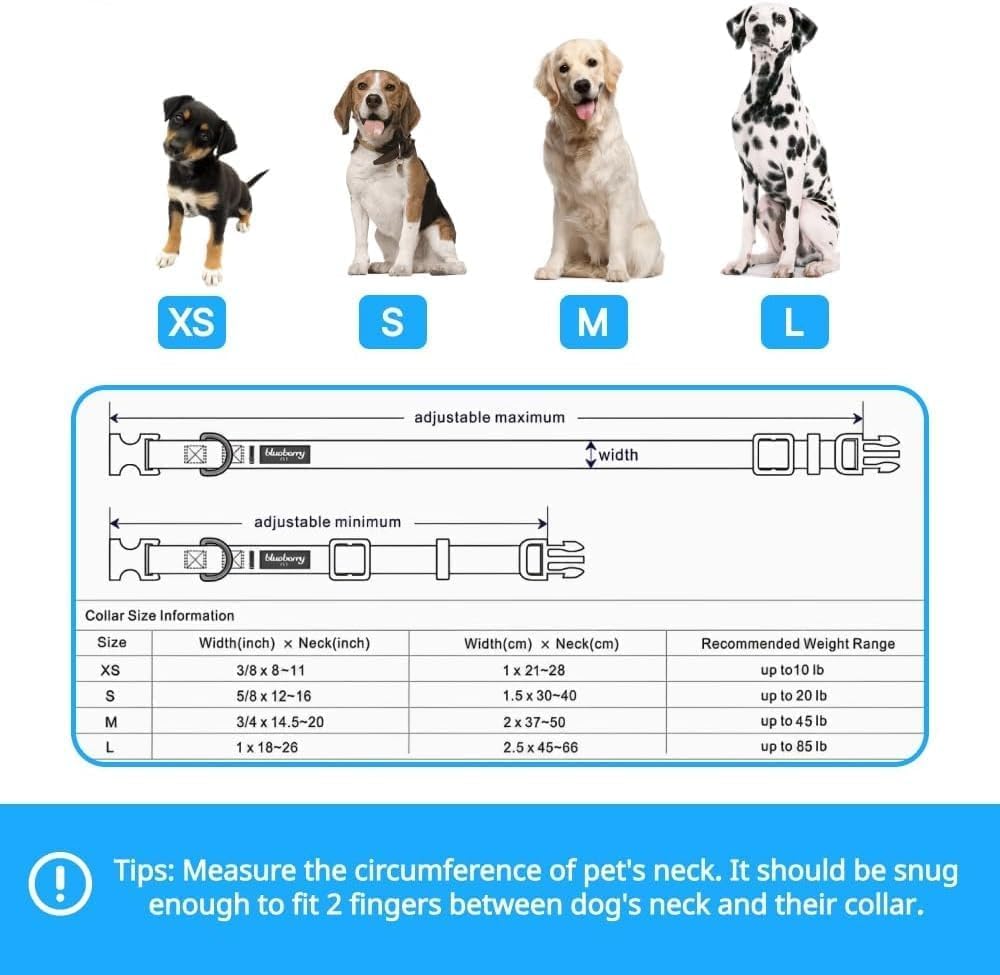 Blueberry Pet Essential Medium Safety Reflective Collar reinforced stitching for lasting durability.