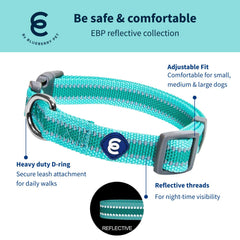 Blueberry Pet Essentials adjustable nylon collar for comfortable all-day wear.