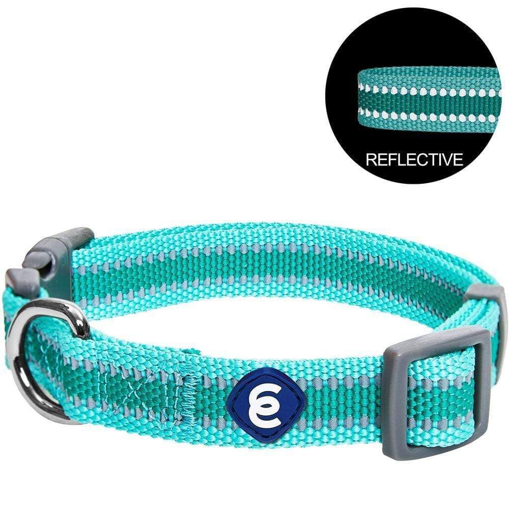 Blueberry Pet Essentials chromed steel D ring for secure leash attachment.