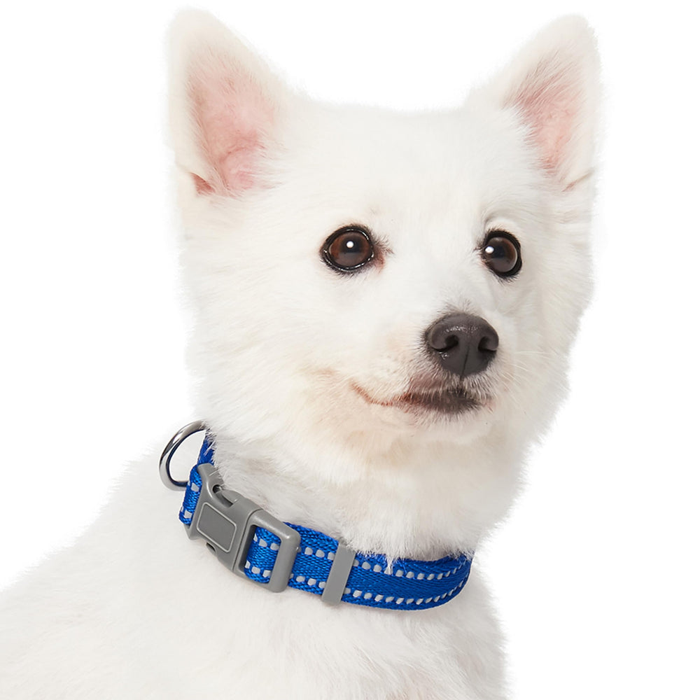 Blueberry Pet Essentials eco-friendly buckle closeup showing easy adjustment and responsible materials.