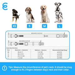 Blueberry Pet Essentials name option collar visible personalization for easy identification