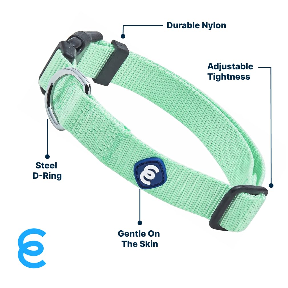 Blueberry Pet Essentials eco-friendly buckle on pastel collar highlights sustainable design.